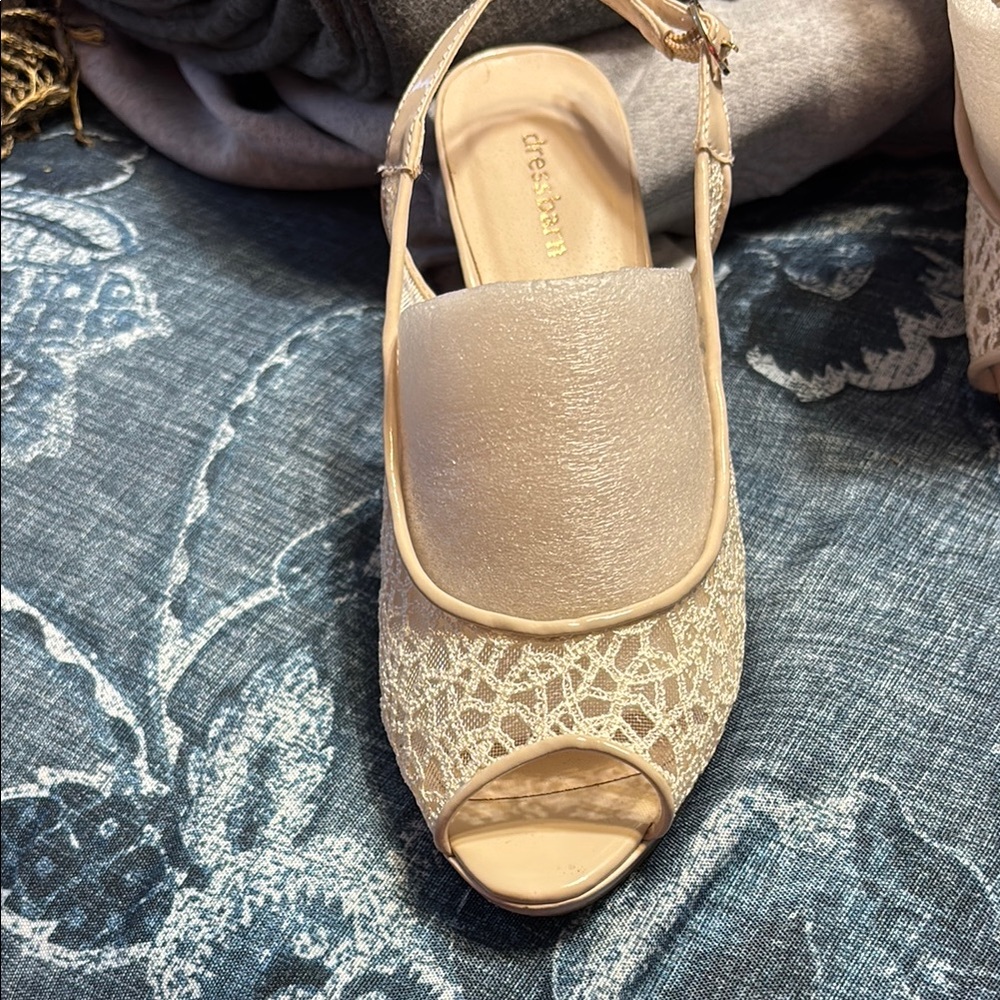 Elegant Lace Women's Shoes